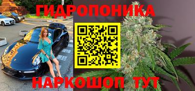 jwh Краснодар