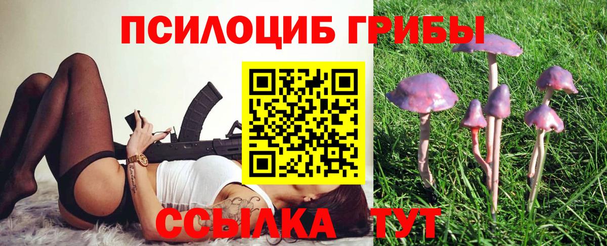 Псилоцибиновые грибы Psilocybe  Вход с VPN  Ковров  Галлюциногенные грибы мицелий 